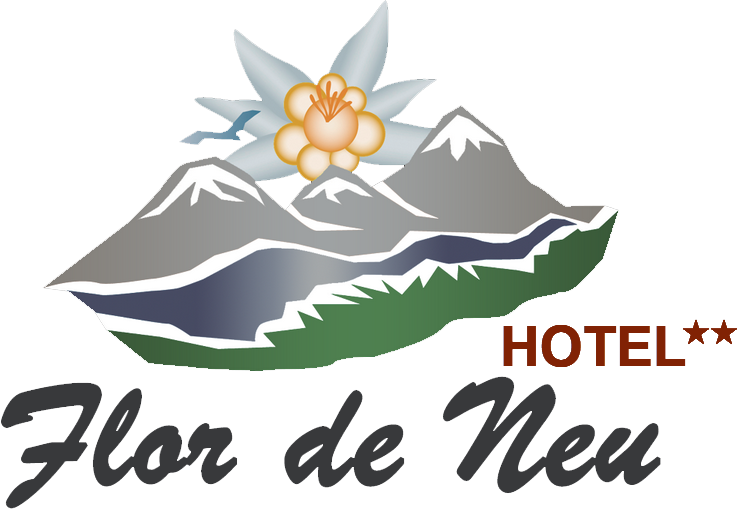 Inicio - Hotel Flor de Neu